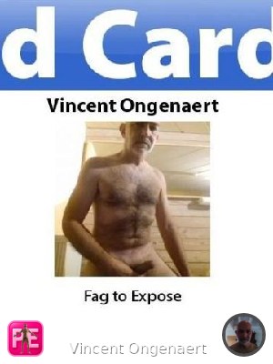 Alle — Vincent Ongenaert